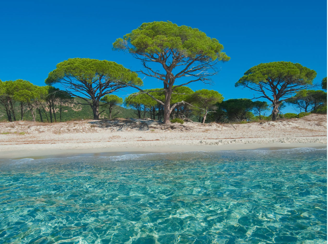 VACANZE in CORSICA