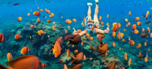 OTTOBRE a MARSA ALAM